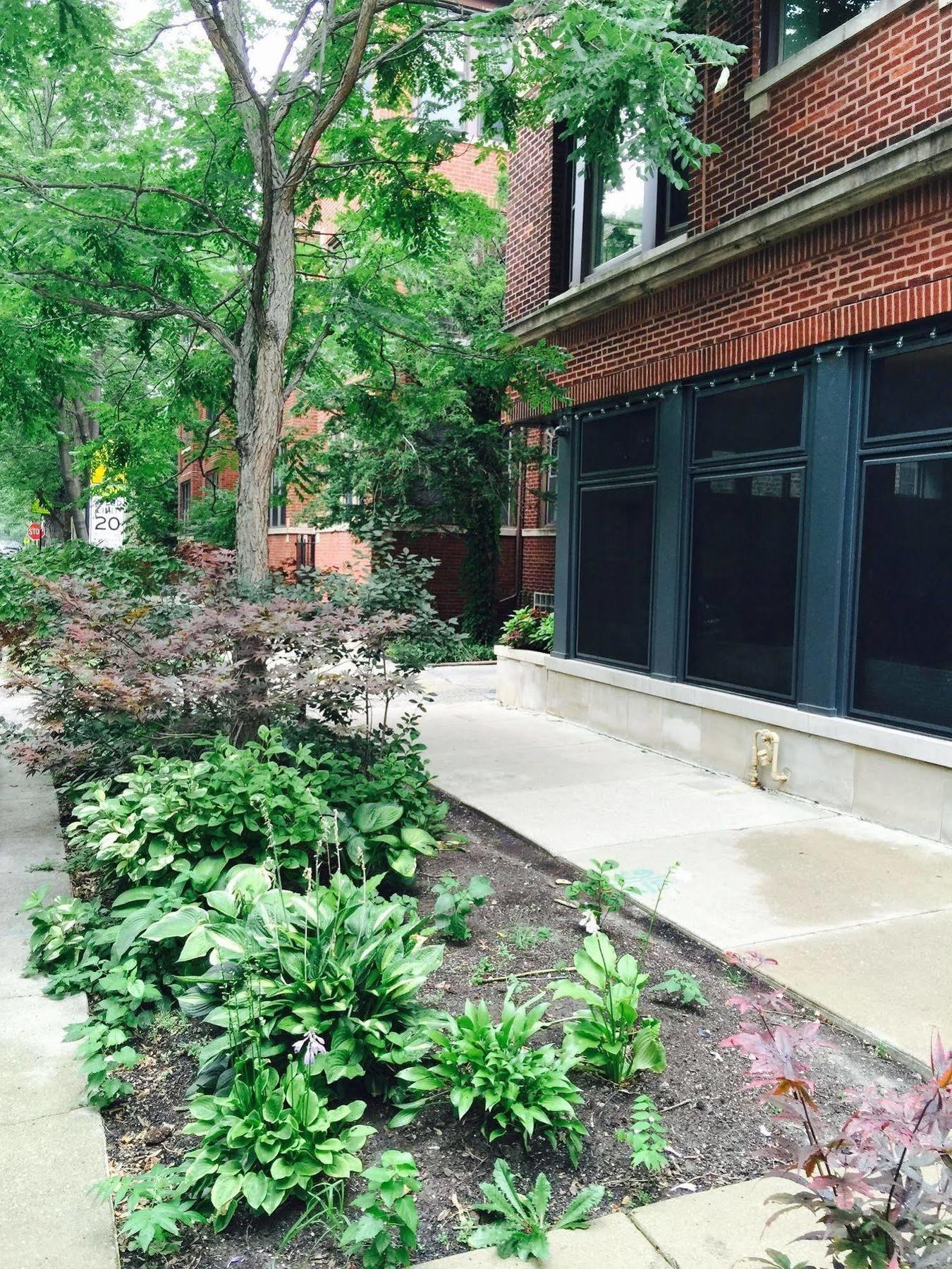House 5863- Chicago'S Premier Bed And Breakfast Exterior foto